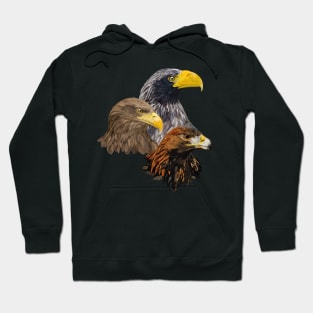 Pigargos and Eagle Hoodie